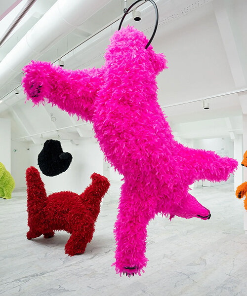 Paola Pivi: I don’t like it, I love it