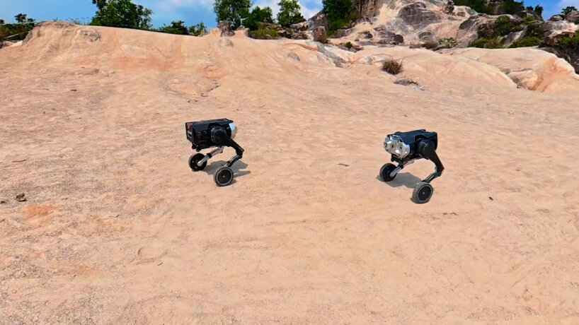 Robot modular todo terreno