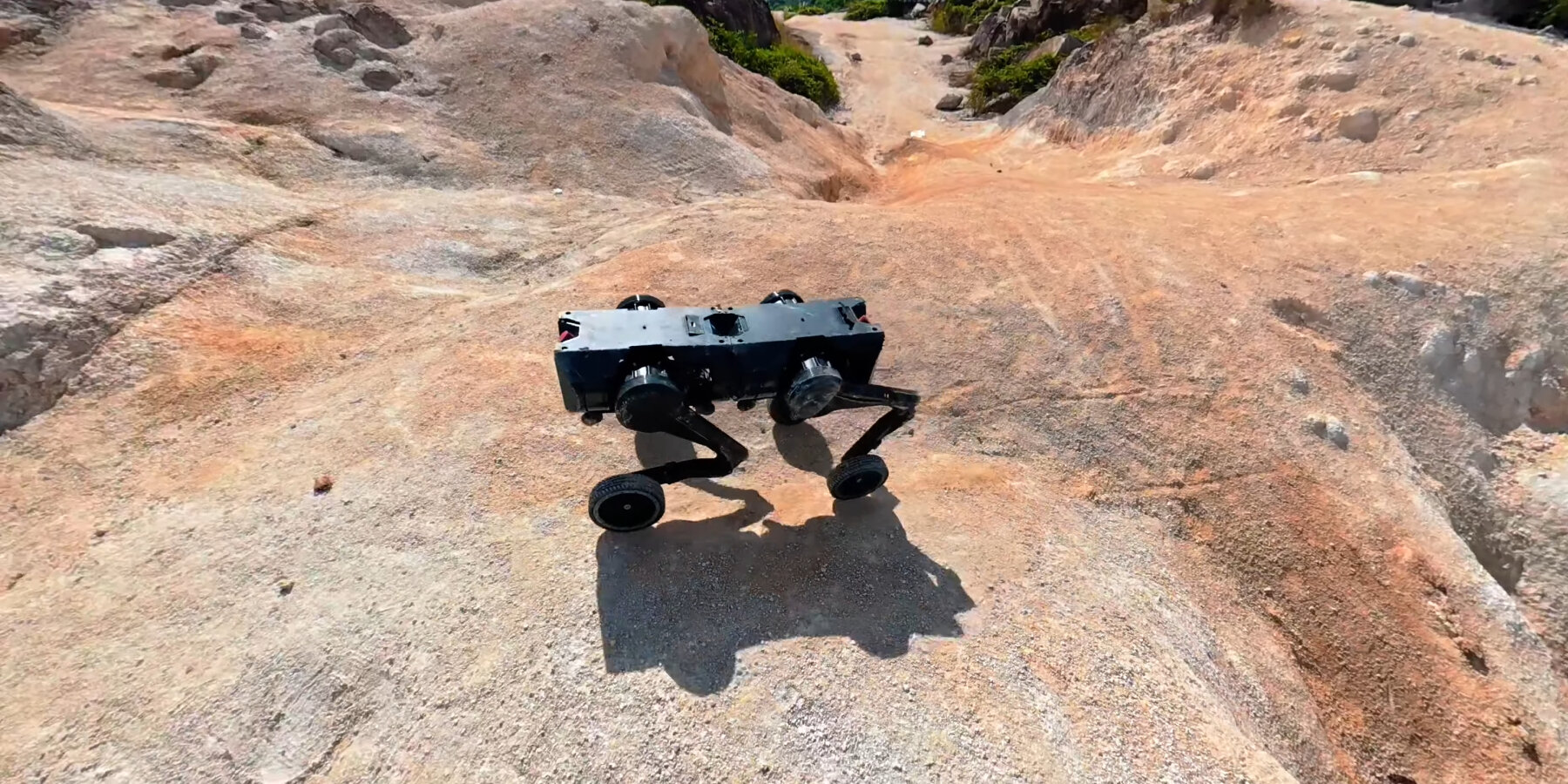 all-terrain-modular-dog-shaped-robot-split-body-D1-direct-drive-designboom-ban