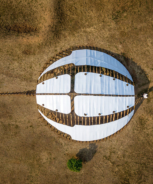 arching timber shell installation by cheng tsung feng evokes the horseshoe crab in taiwan