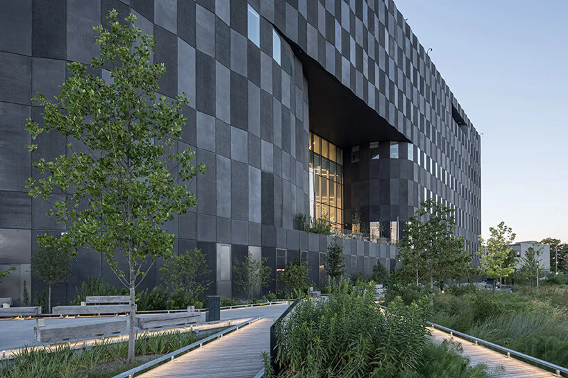 Estudio de flores silvestres de Bjarke Ingels