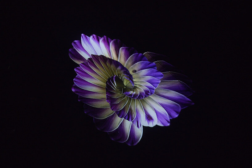 DRIFT lights up abu dhabi with whispering grass, heartbeat blooms, and 2,000-drone falcon