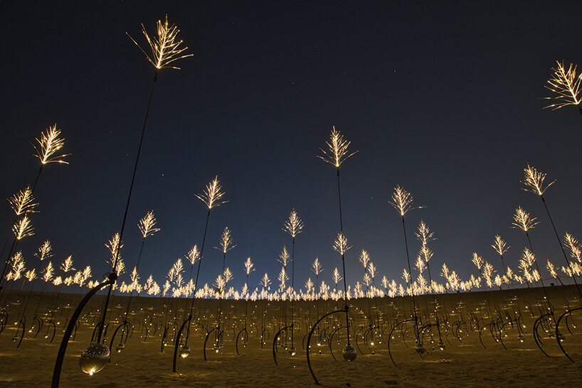 DRIFT ilumina Abu Dhabi con hierba susurrante, flores palpitantes y 2.000 halcones drones