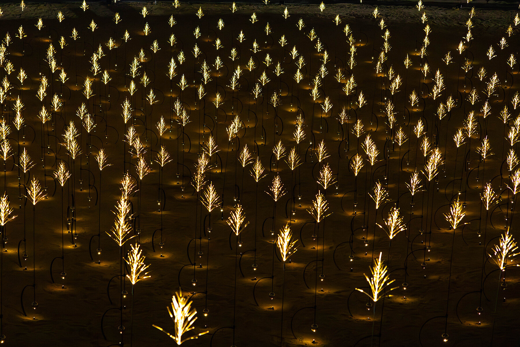 drift-abu-dhabi-whispering-grass-heartbeat-blooms-2000-drone-falcon-manar-designboom-large02