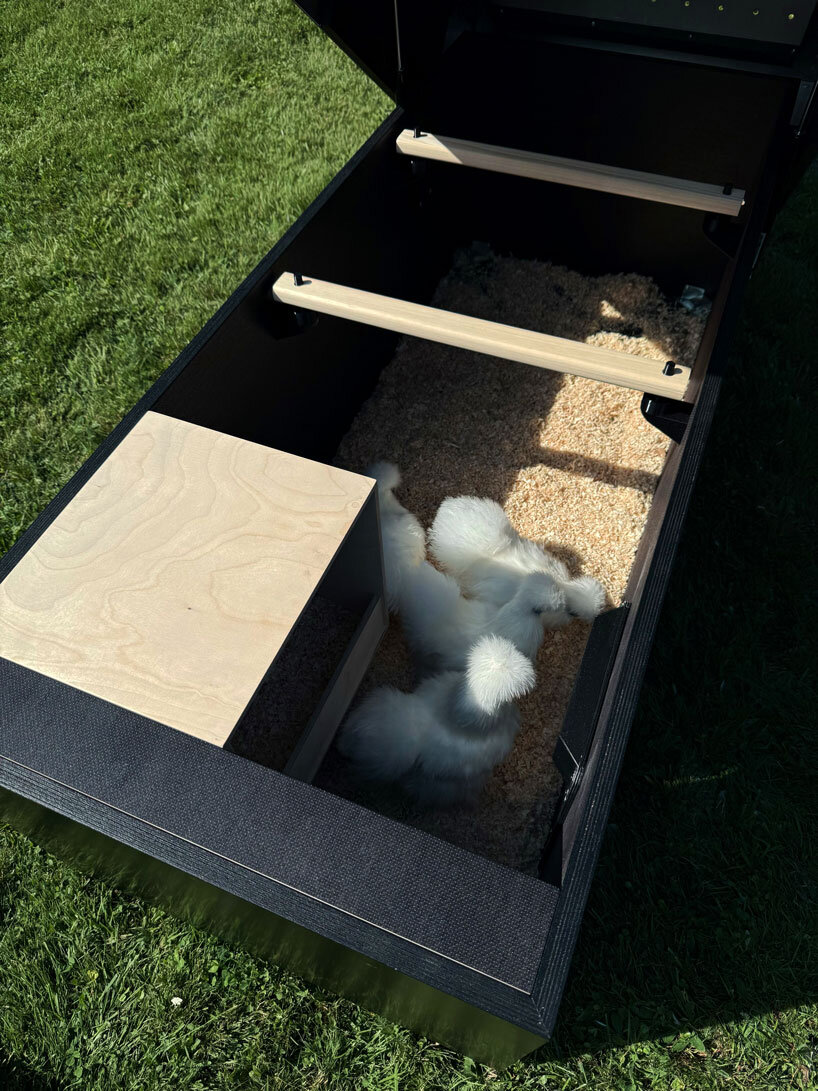 reflective gold facade wraps minimal geometric chicken coop for six fowls