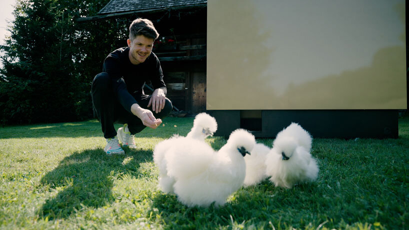 reflective gold facade wraps minimal geometric chicken coop for six fowls