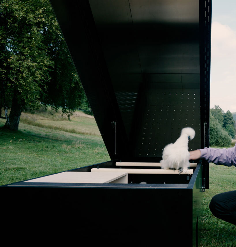 reflective gold facade wraps minimal geometric chicken coop for six fowls