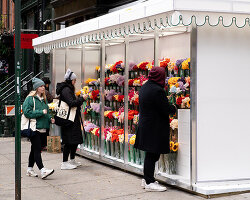Cj hendry mimics NYC flower stands with her first permanent shop in soho