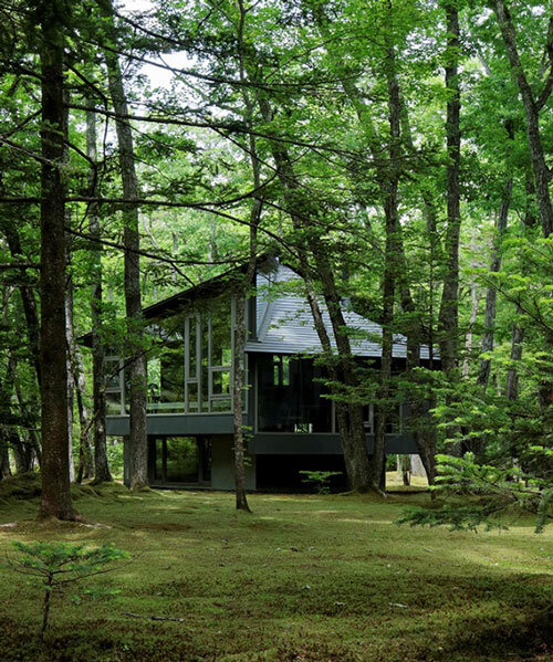 hexagonal wooden canopy crowns villa within moss garden in japan