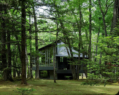 hexagonal wooden canopy crowns villa within moss garden in japan