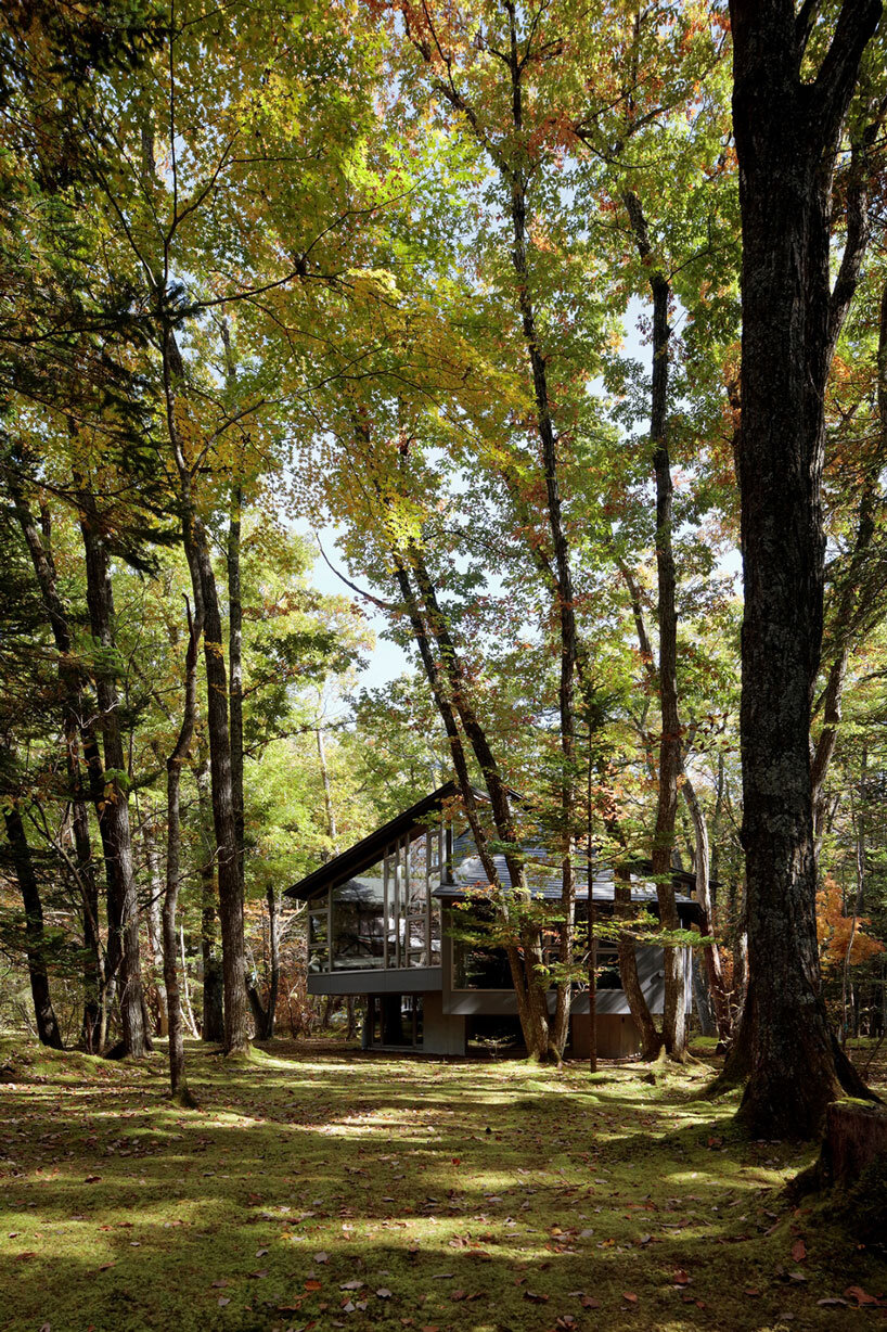 Villa con dosel de madera hexagonal en un jardín de musgo japonés