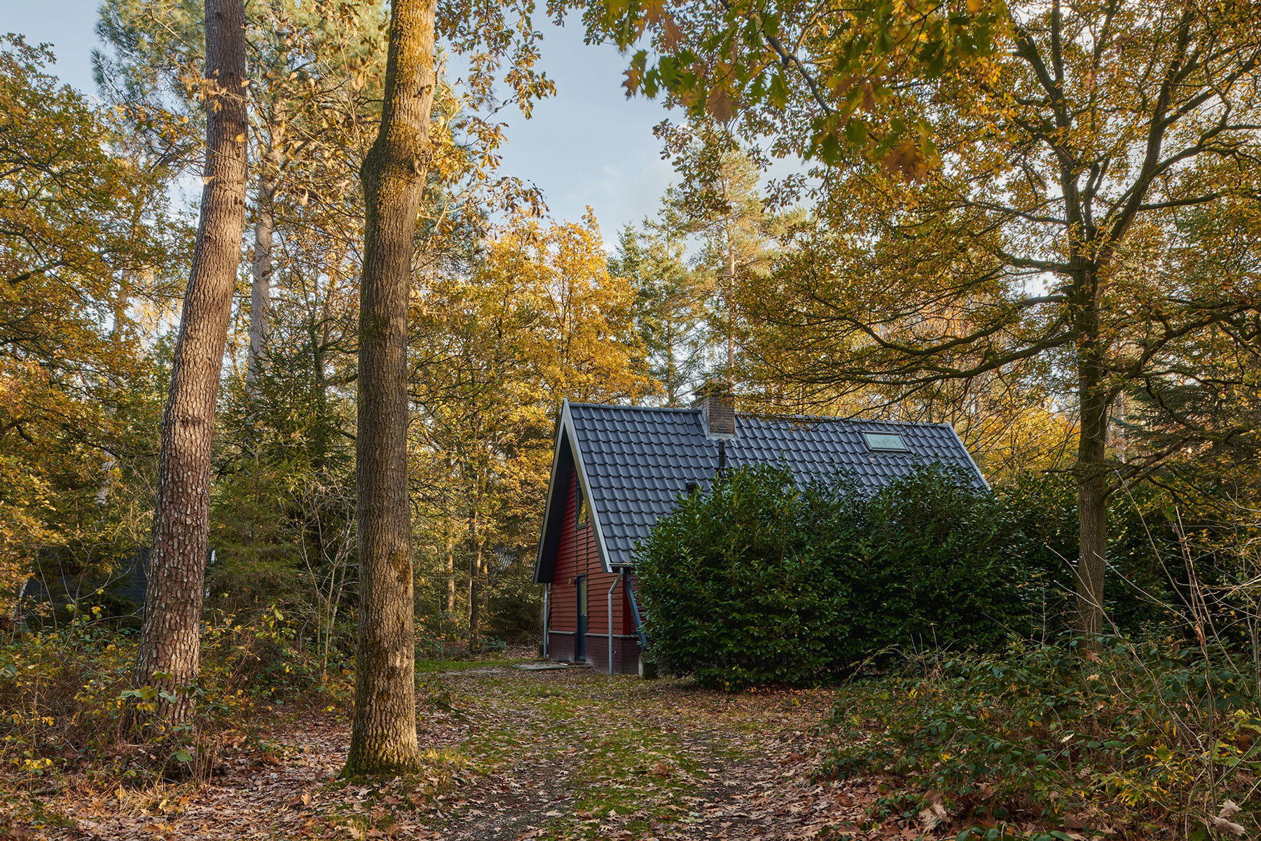 kumiki-architecture-renovation-a-frame-holiday-home-netherlands-designboom-1800-2