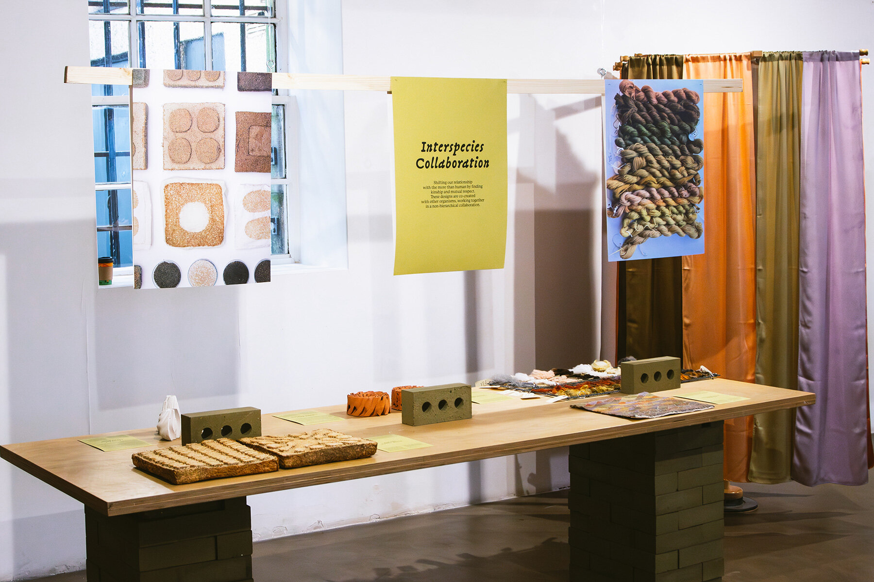 'Necesitamos un enfoque que dé vida': el estudio decano explora cómo la alfabetización femenina está remodelando el diseño