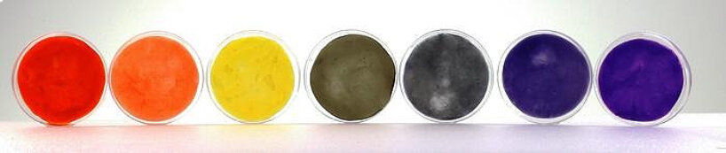 Tejidos teñidos con bacterias vivas