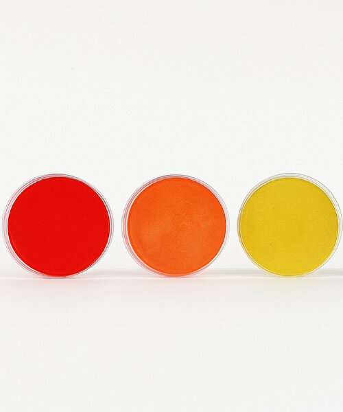 living bacteria grow and dye their own fabrics in every color of the rainbow