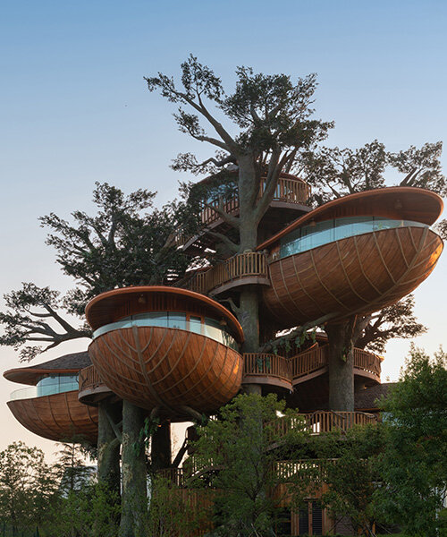modular forest nests by doarchiwow propose model for prefabricated eco-resorts in china