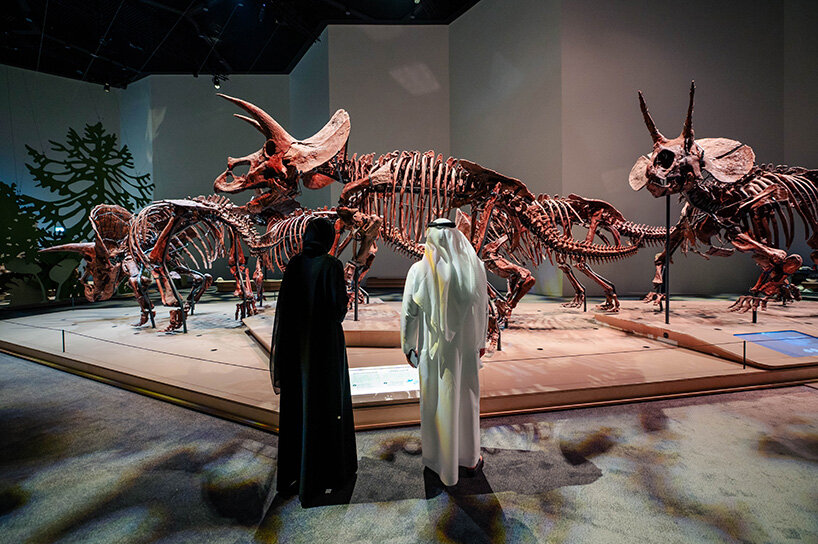 natural history museum abu dhabi by mecanoo opens with world-first dinosaur displays