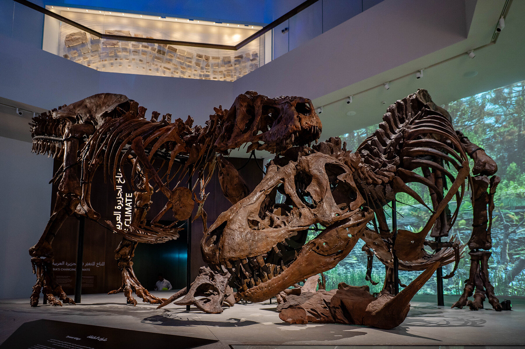 natural-history-museum-abu-dhabi-mecanoo-world-first-dinosaur-displays-designboom-large02