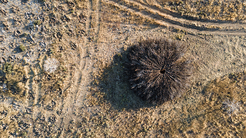 Los anillos de enebro carbonizados de Nomadic Studio marcan las cicatrices de los incendios forestales en el norte de España