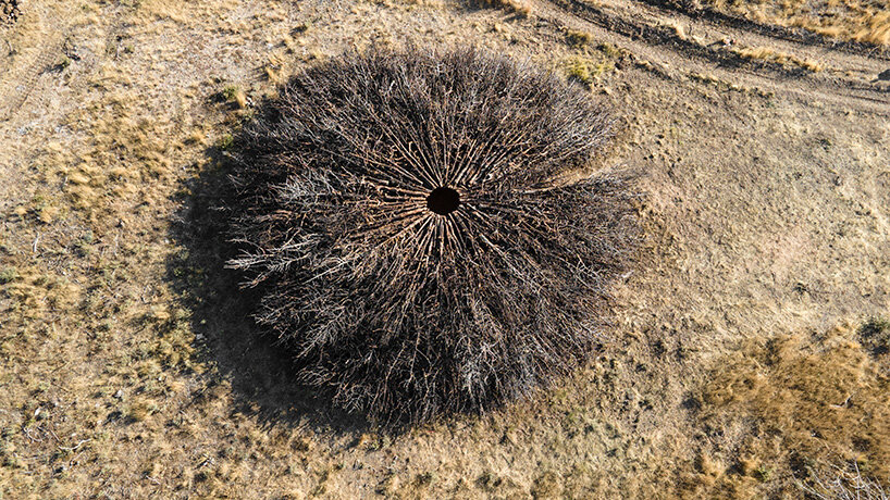 Los anillos de enebro carbonizados de Nomadic Studio marcan las cicatrices de los incendios forestales en el norte de España