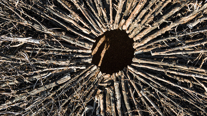 Los anillos de enebro carbonizados de Nomadic Studio marcan las cicatrices de los incendios forestales en el norte de España