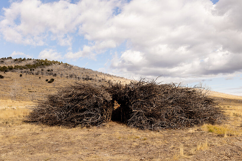 Los anillos de enebro carbonizados de Nomadic Studio marcan las cicatrices de los incendios forestales en el norte de España