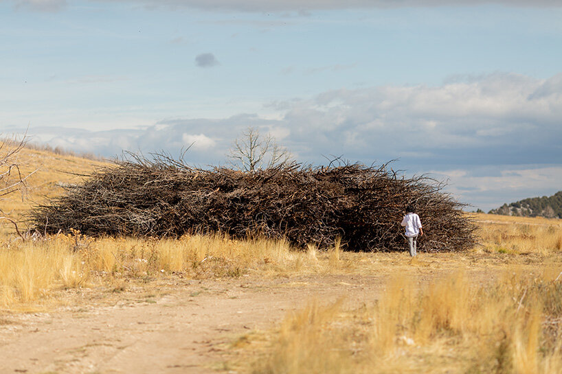 nomad studio's charred juniper ring marks the scar of a wildfire in northern spain