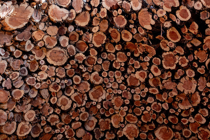 nomad studio's charred juniper ring marks the scar of a wildfire in northern spain