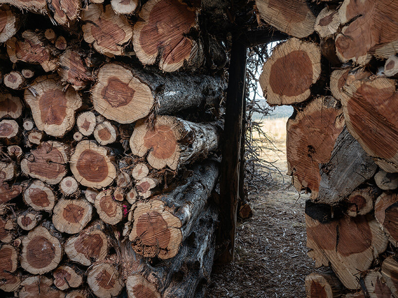 nomad studio's charred juniper ring marks the scar of a wildfire in northern spain