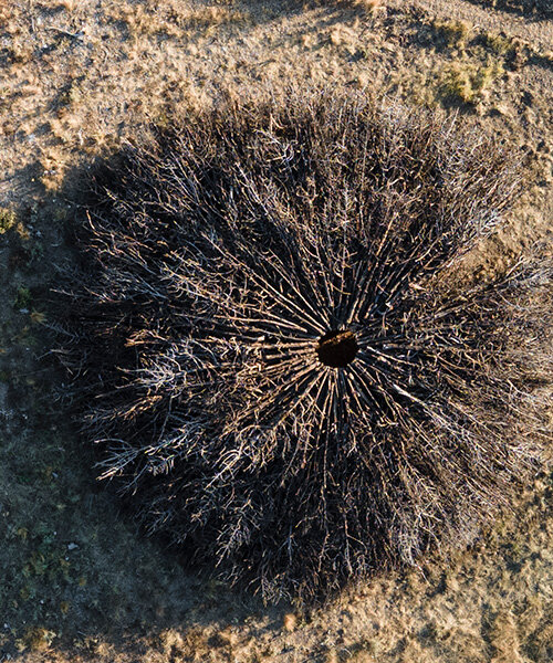 nomad studio's charred juniper ring marks the scar of a wildfire in northern spain