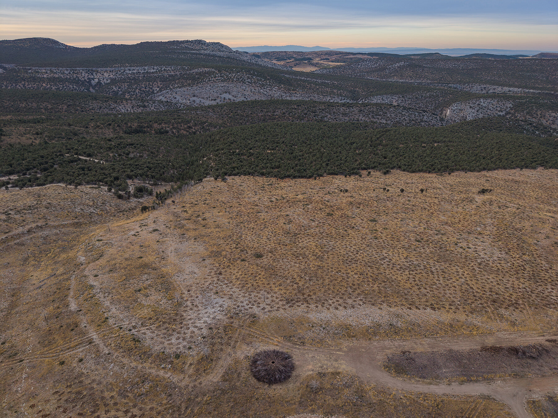 nomad-studio-charred-juniper-ring-scar-wildfire-northern-spain-designboom-large01