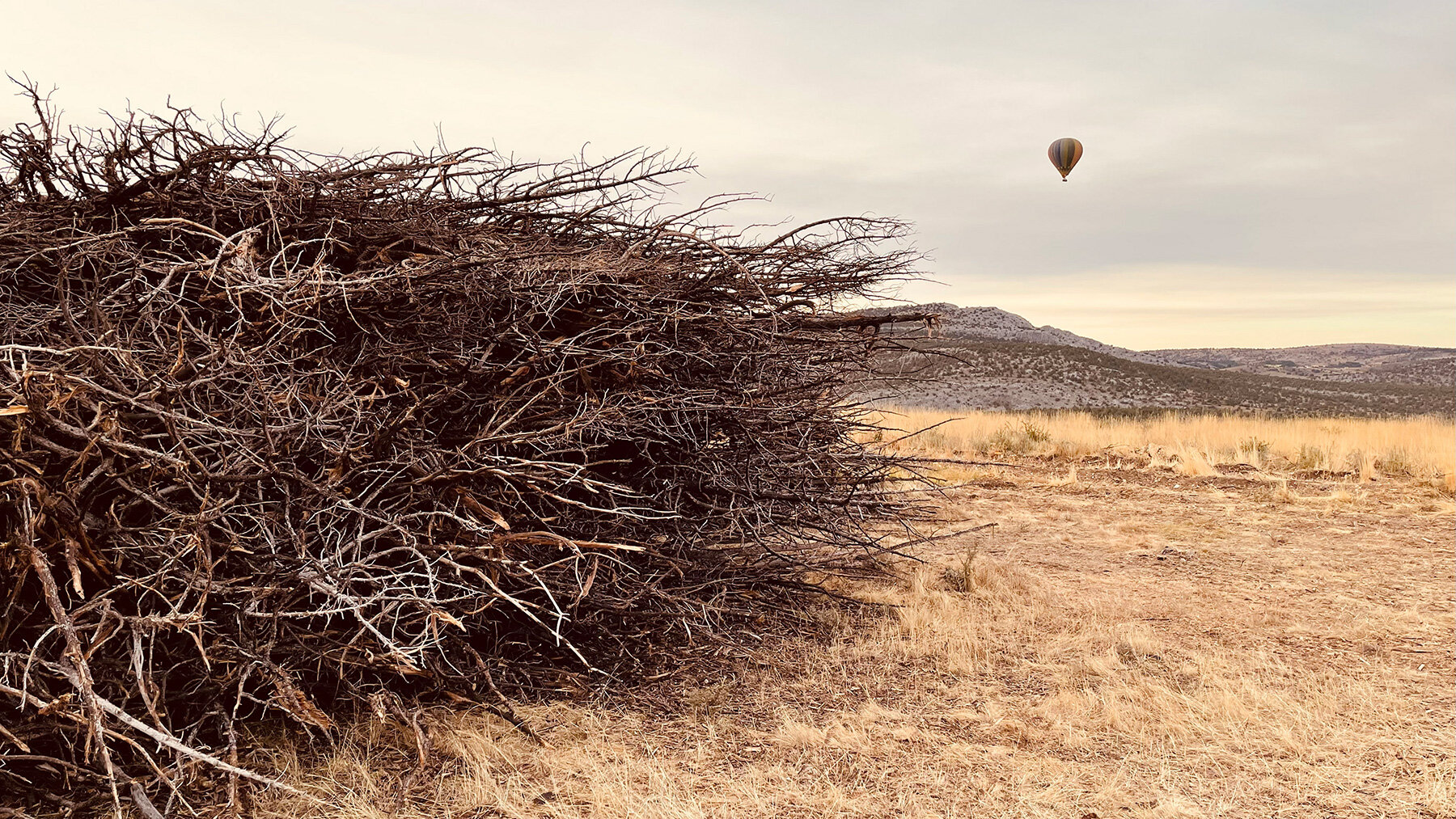 nomad-studio-charred-juniper-ring-scar-wildfire-northern-spain-designboom-large02