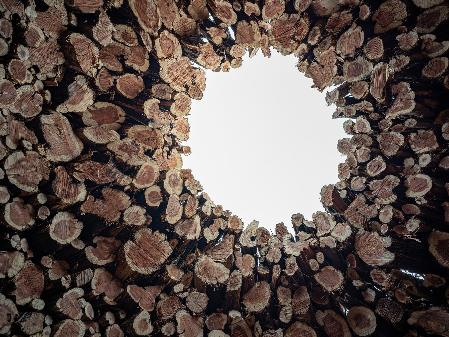 nomad-studio-charred-juniper-ring-scar-wildfire-northern-spain-designboom-large03