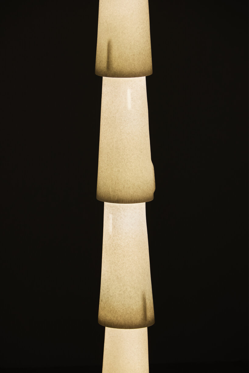 detailed view of Stem