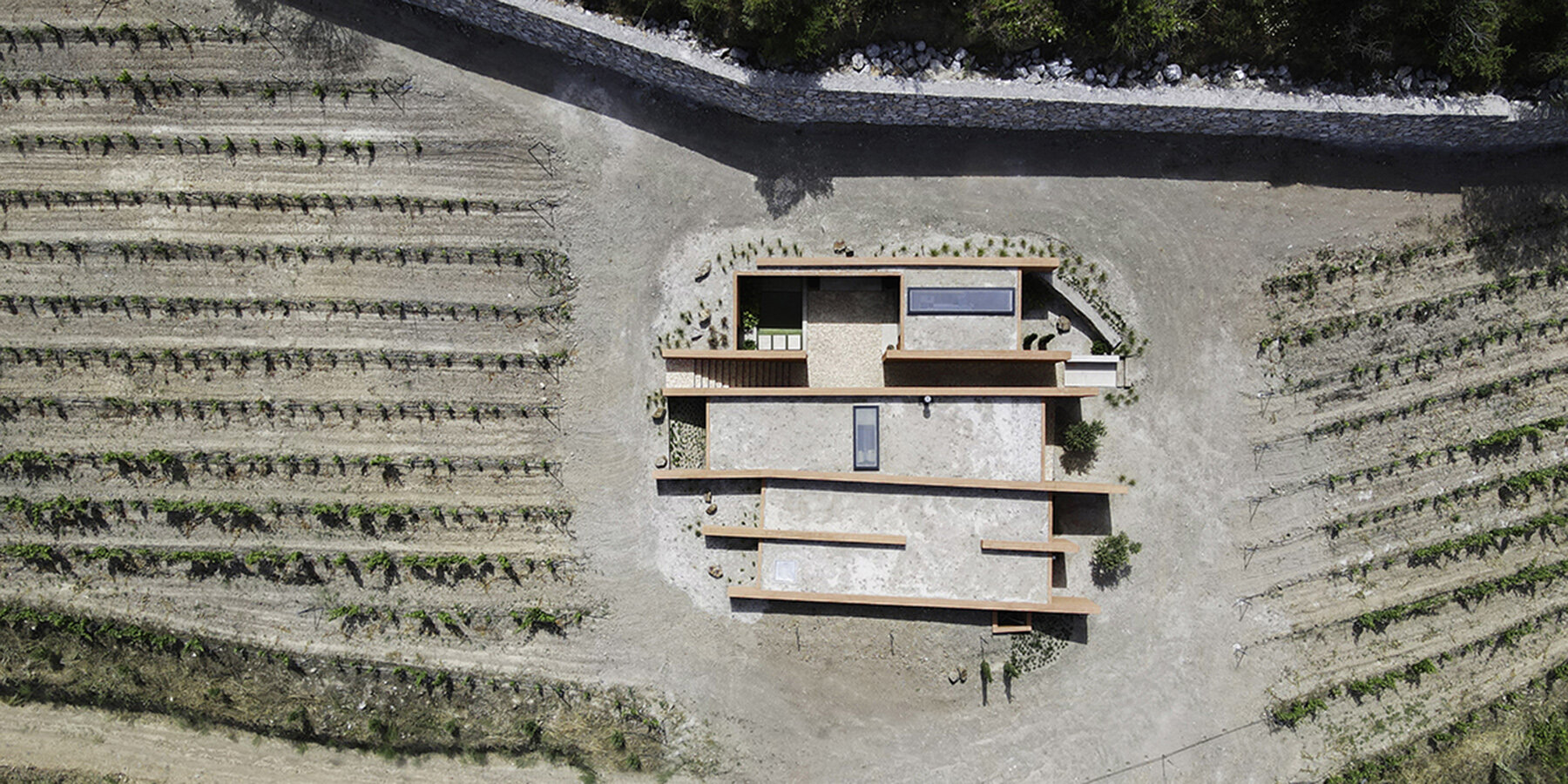 rubrum-office-office-istanbul-architects-vineyard-seferihisar-izmir-turkey-designboom-1800-3