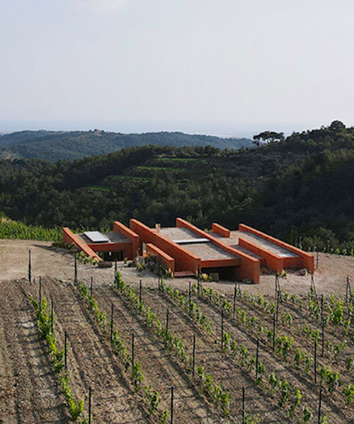 red earthen-plaster office's linear volumes trace grapevine rows in rural turkey