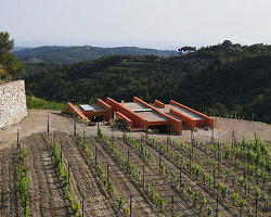 red earthen-plaster office's linear volumes trace grapevine rows in rural turkey