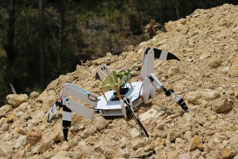 Robots plantadores de árboles talan bosques