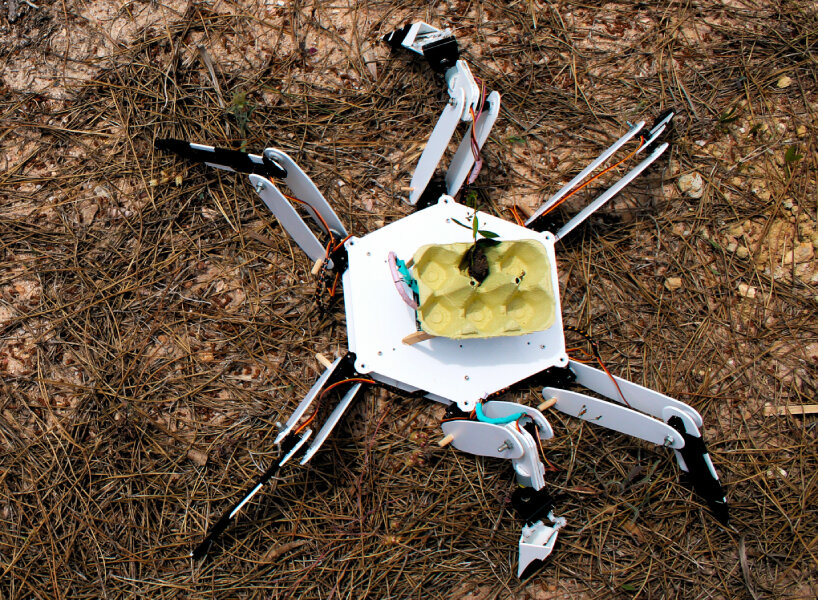 Robots plantadores de árboles talan bosques