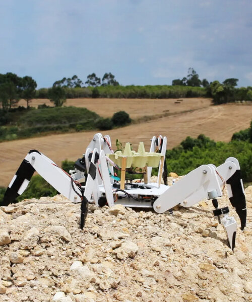 tree-planting robot saves burned land from deforestation by putting seedlings in the ground