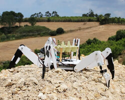 tree-planting robot saves burned land from deforestation by putting seedlings in the ground