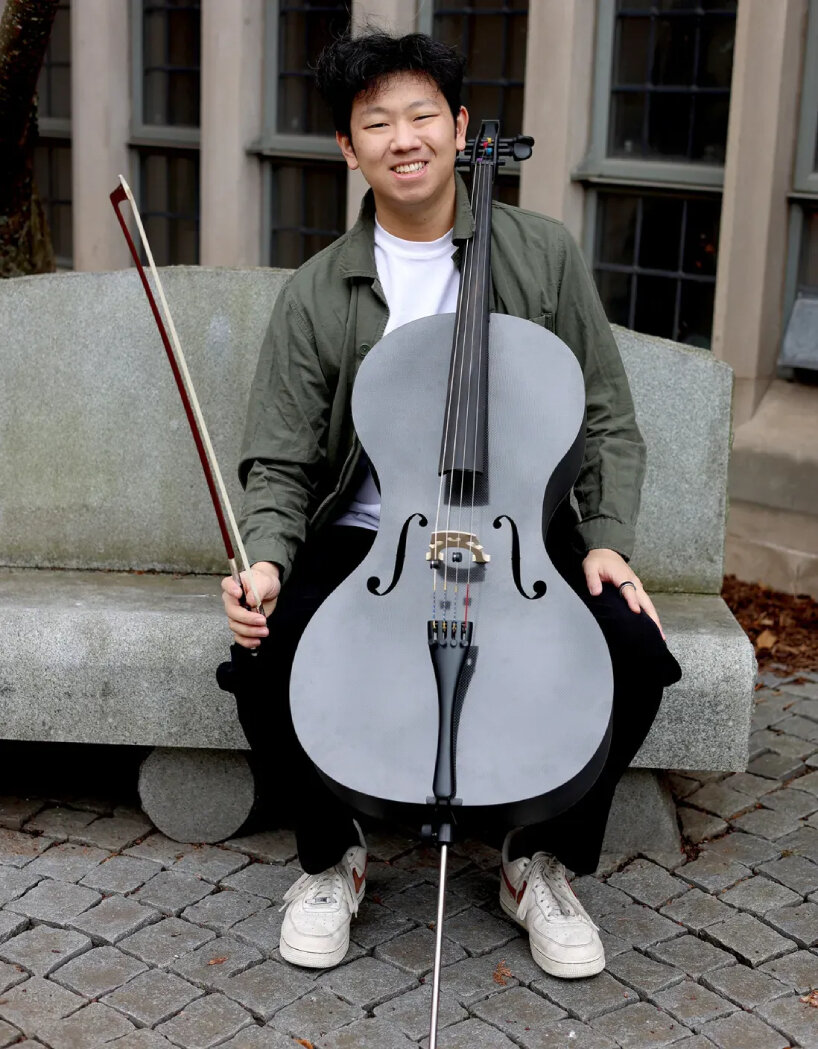 3D printed violin cello