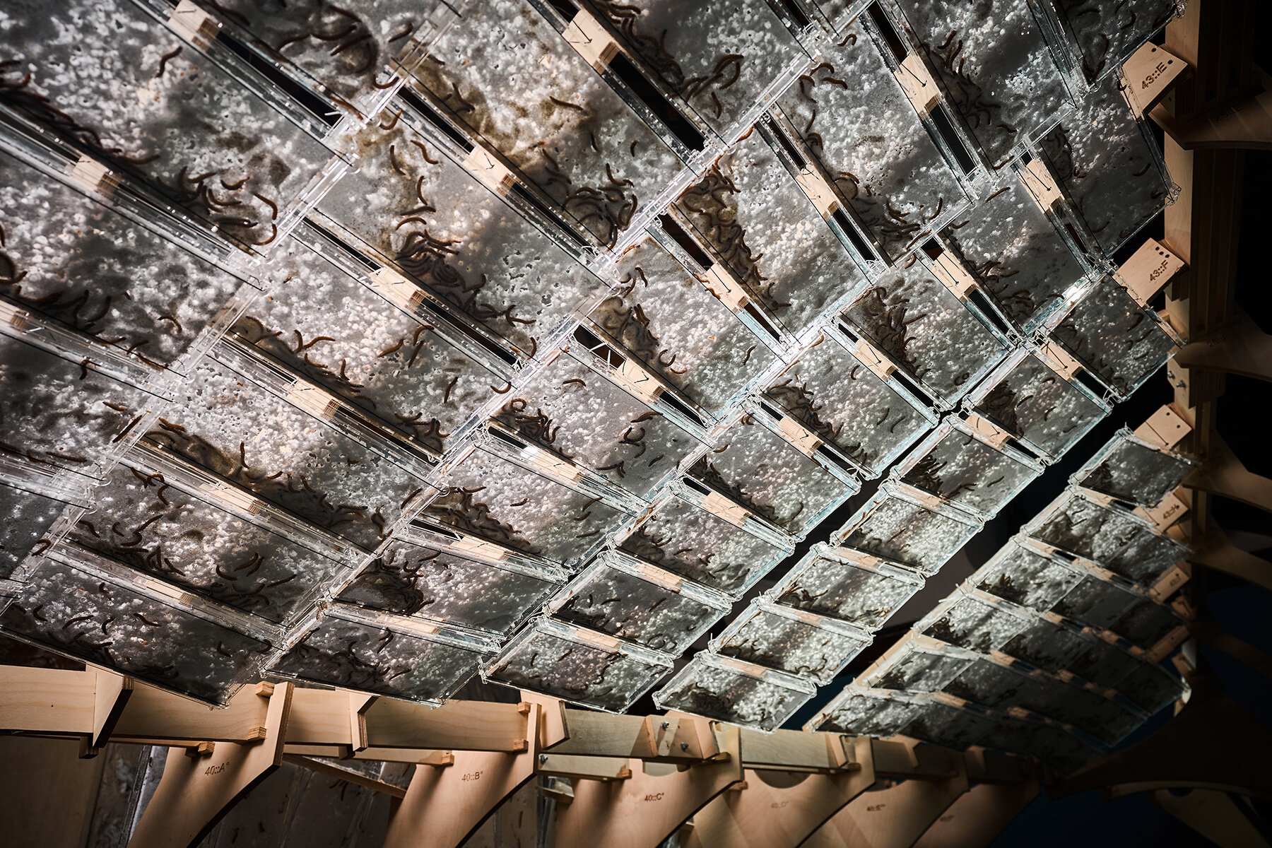 aditya-mandlik-decomposition-design-method-worm-driven-architecture-interview-designboom-large02