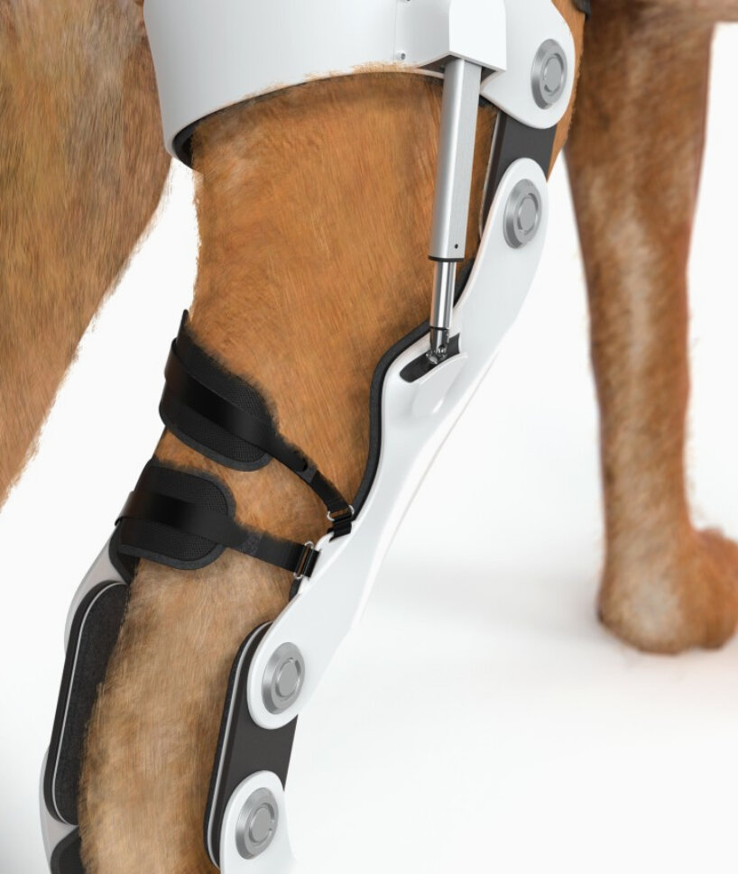 attachable powered exoskeleton dogs