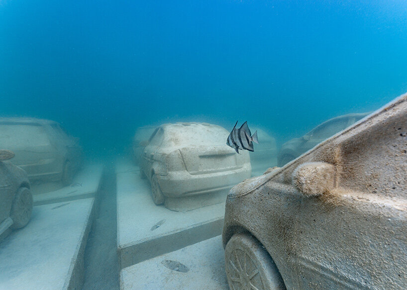 Coche Coral de Miami Reef Line