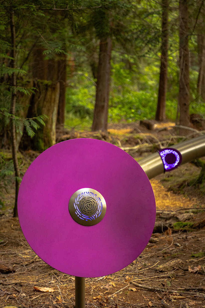 daily tous les jours' installation attunes human voices to forest ecologies in canada