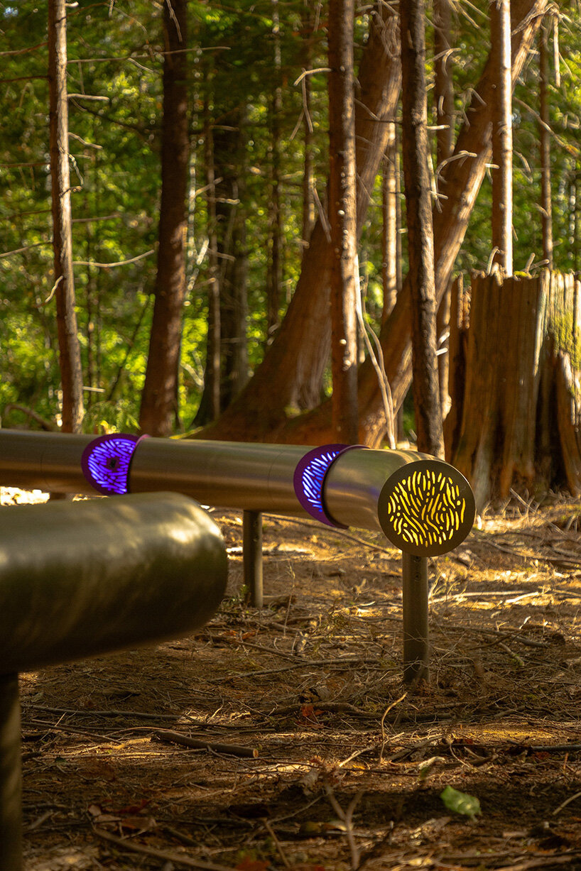 daily tous les jours' installation attunes human voices to forest ecologies in canada