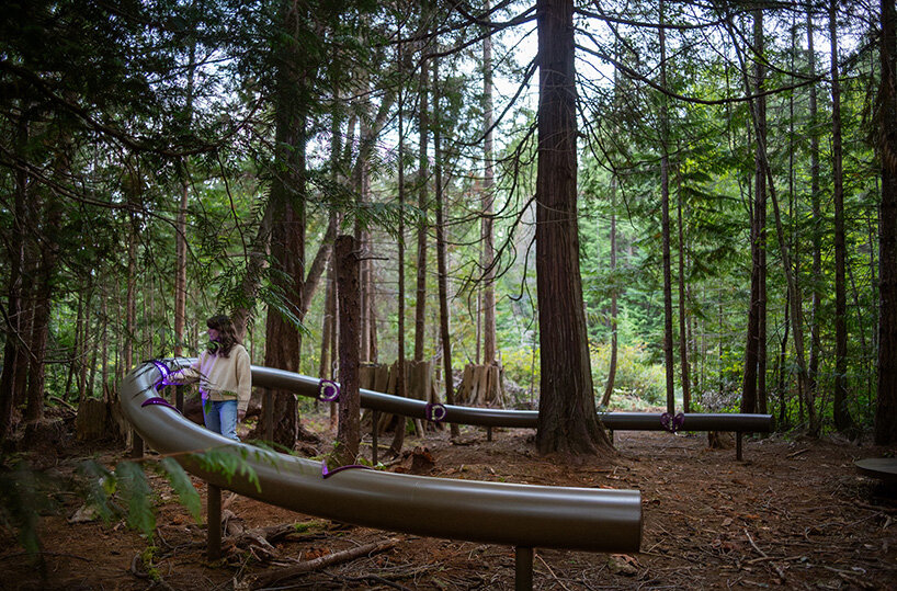 daily tous les jours' installation attunes human voices to forest ecologies in canada