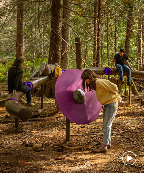 daily tous les jours' installation attunes human voices to forest ecologies in canada