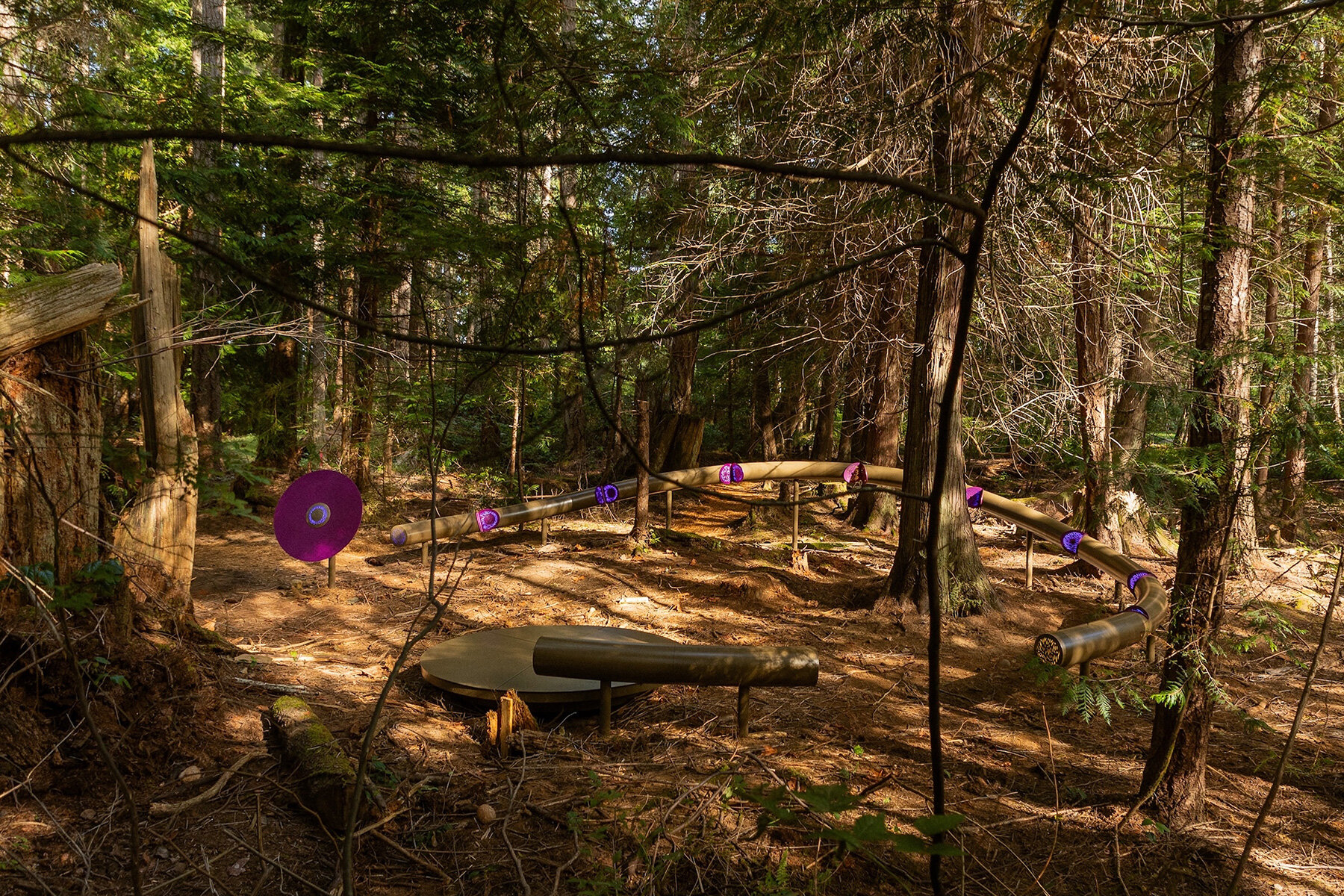 dailytouslesjours-installation-human-voices-forest-ecologies-canada-designboom-large01